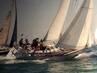 Swan 441