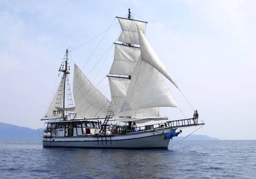 brigantine 1971 yacht boat for sale in gouvia marina